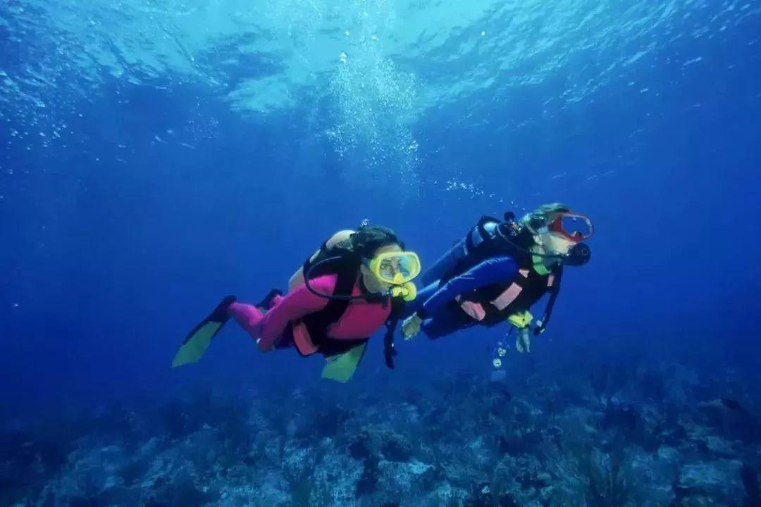 我是一名判缓刑的入矫人员月底去司法所报到2021年迎接2022年+需要汇报不知道?-机智问答网页