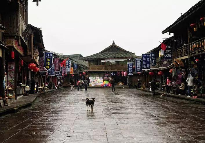 司机油门当刹车,将行人卷入车底拖行,驾车出行该怎样保证安全?知识星球,成就你的学习与交流平台